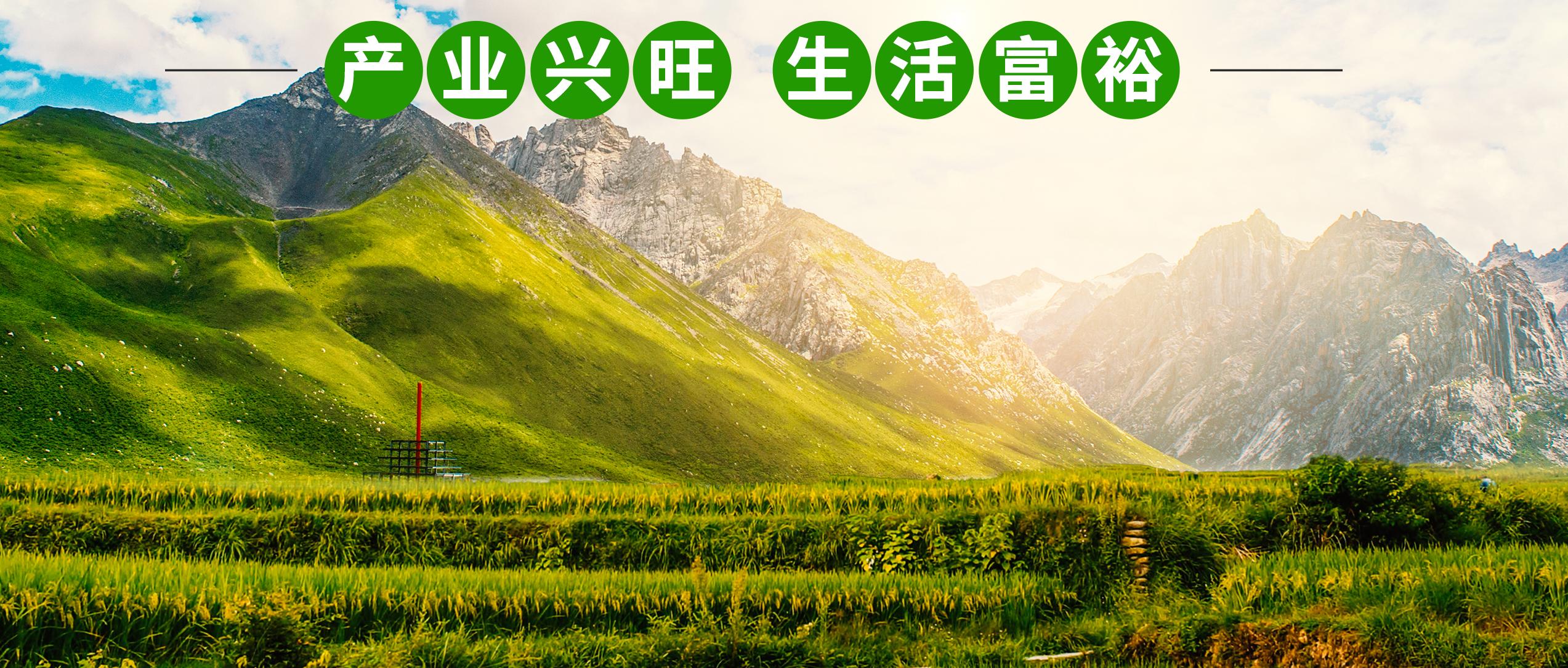 建筑智能化系统设计与施工