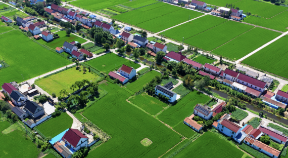 乡村振兴：实践经验总结与下半年工作方向