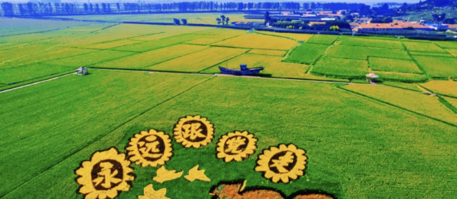 微信图片_20251111115303_480_5.png