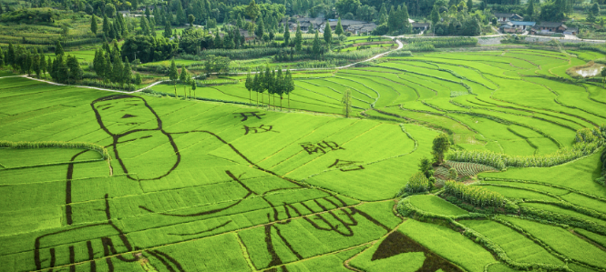 微信图片_20251111115322_481_5.png