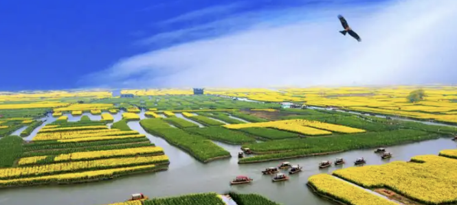 微信图片_20251111115416_484_5.png