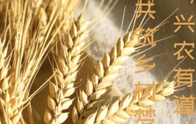 双十一看见乡村振兴的海安答卷