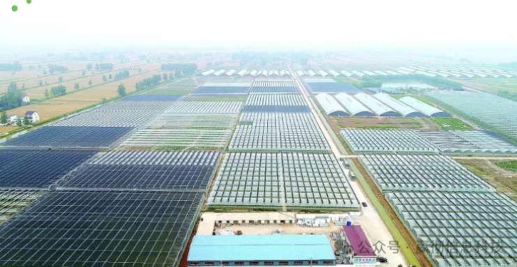 智慧农业有了“国家标准”！《建设指南》出炉，海安田间将迎这些新变化.