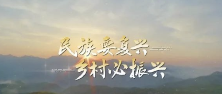 看、干、赚！农户致富新路径
